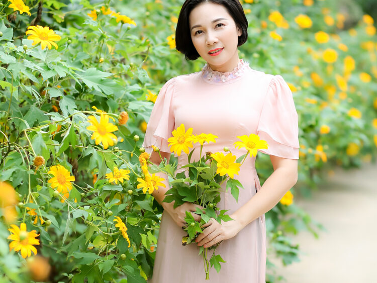 Hoa dã quỳ - Thung Nham, Ninh Binh