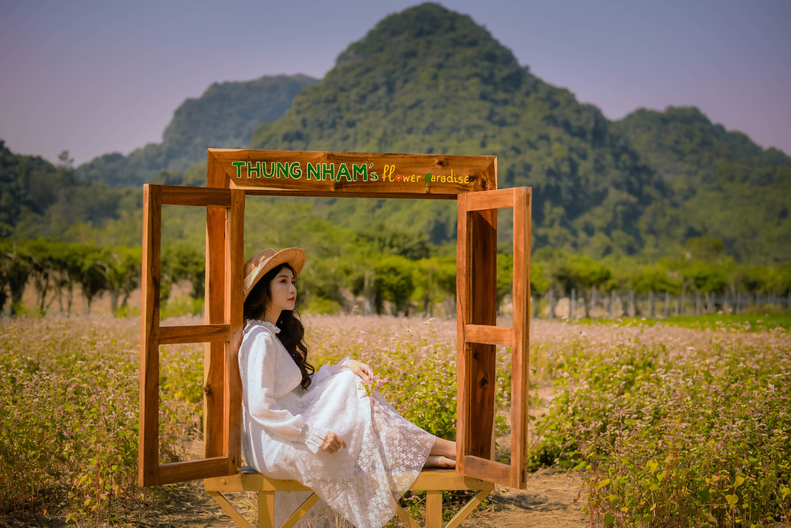 Hoa Tam giác mạch Thung Nham, Ninh Binh