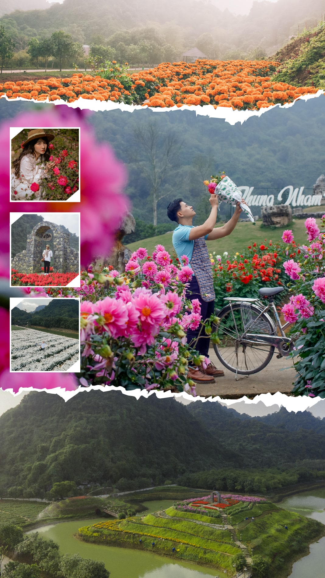 Thung Nham's flower paradise - Ninh Binh