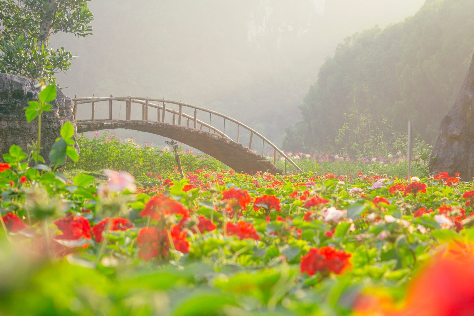 Thiên đường hoa Thung Nham - Ninh Bình