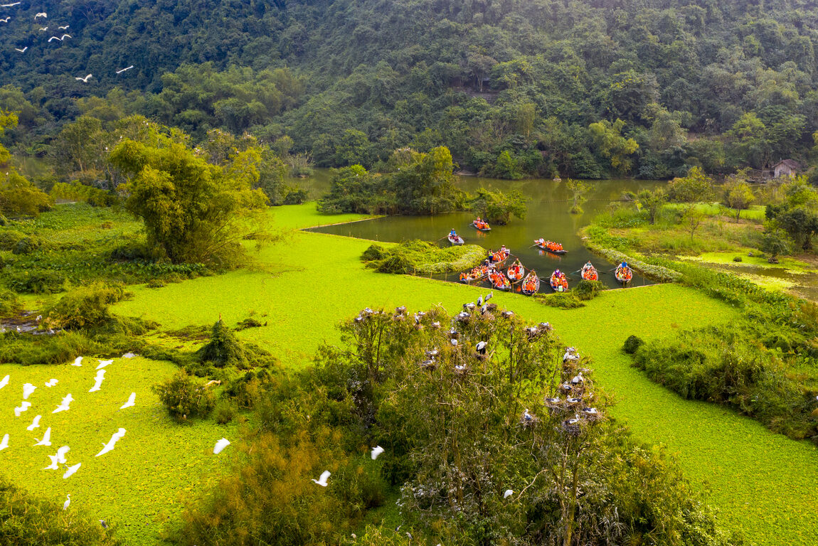 Vườn chim Thung Nham - Ninh Bình