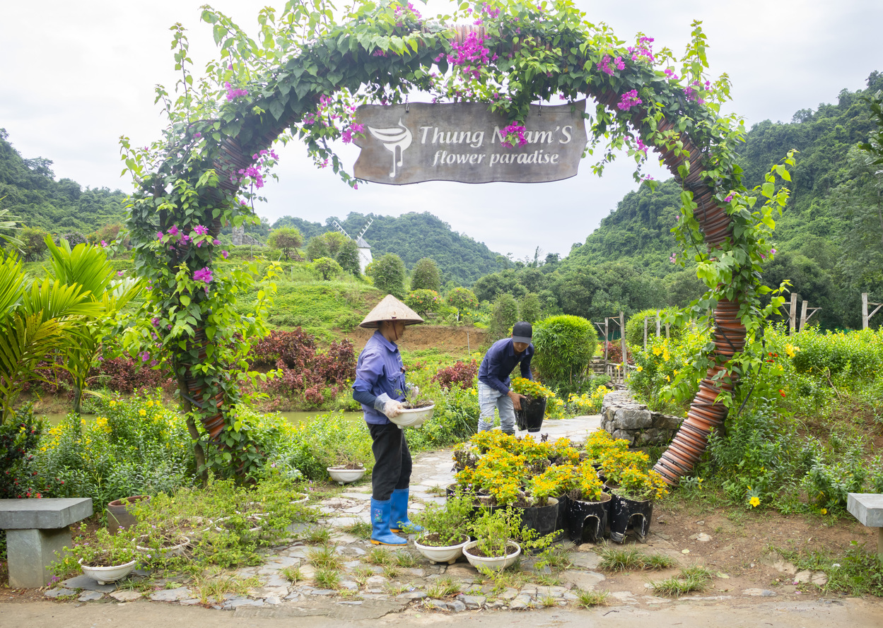 Thung Nham chống bão Wipha
