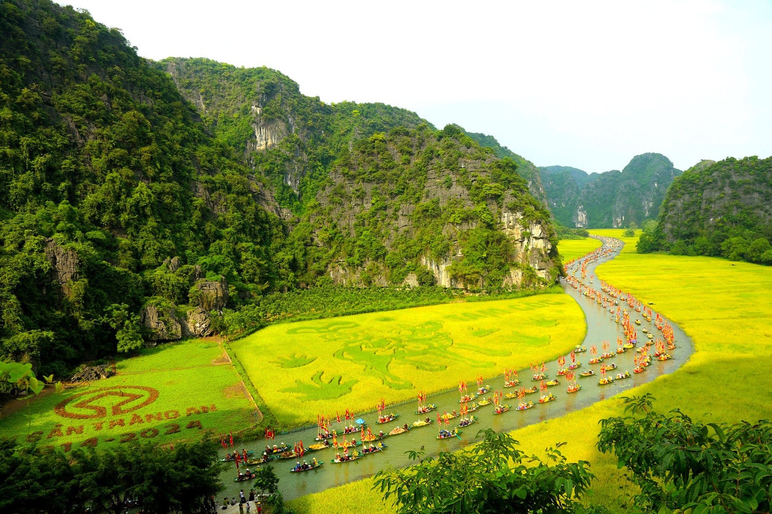Sắc vàng Tam Cốc