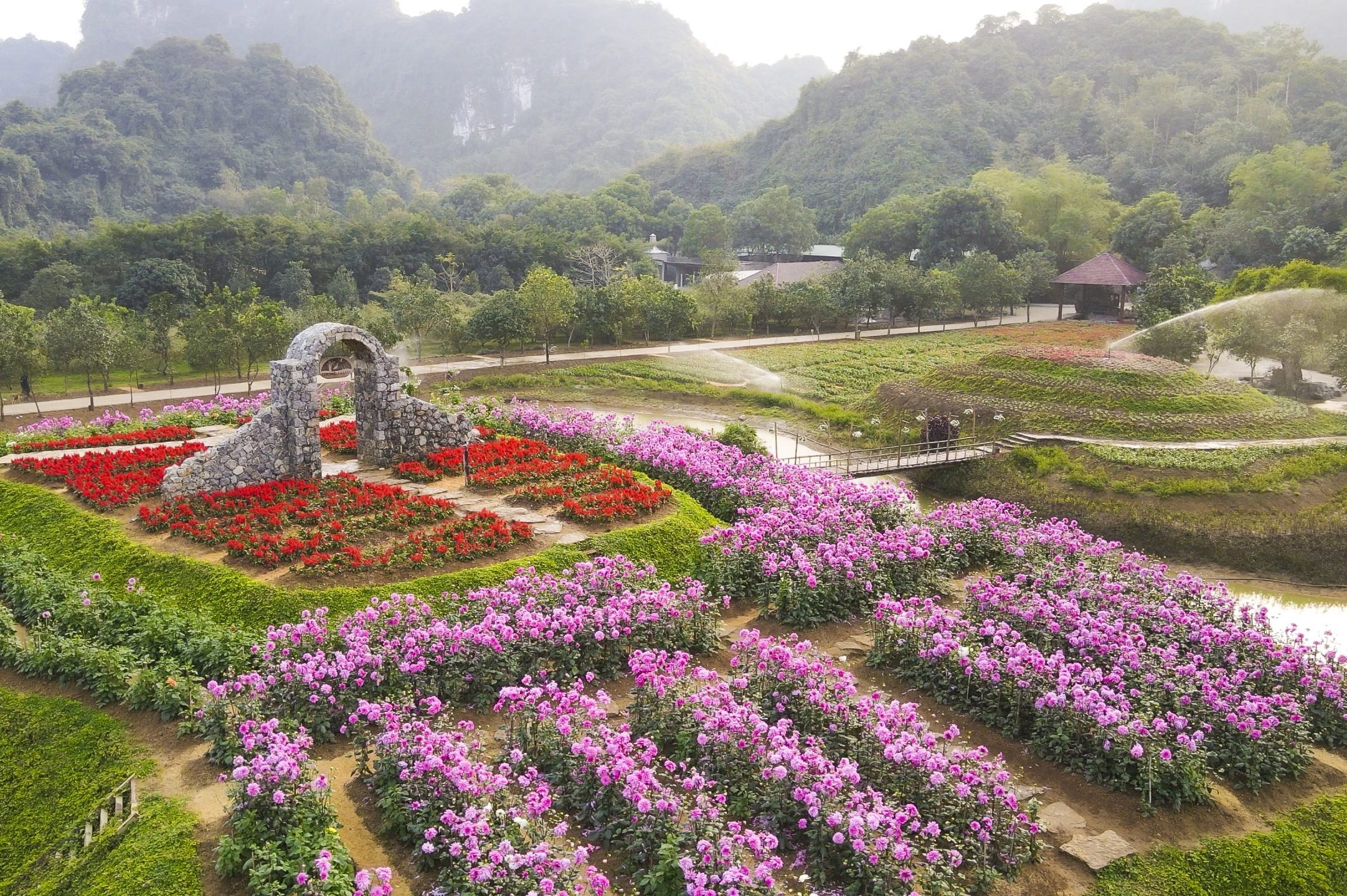 Thiên đường hoa Thung Nham