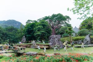 Minishow Khúc hát thiên nhiên