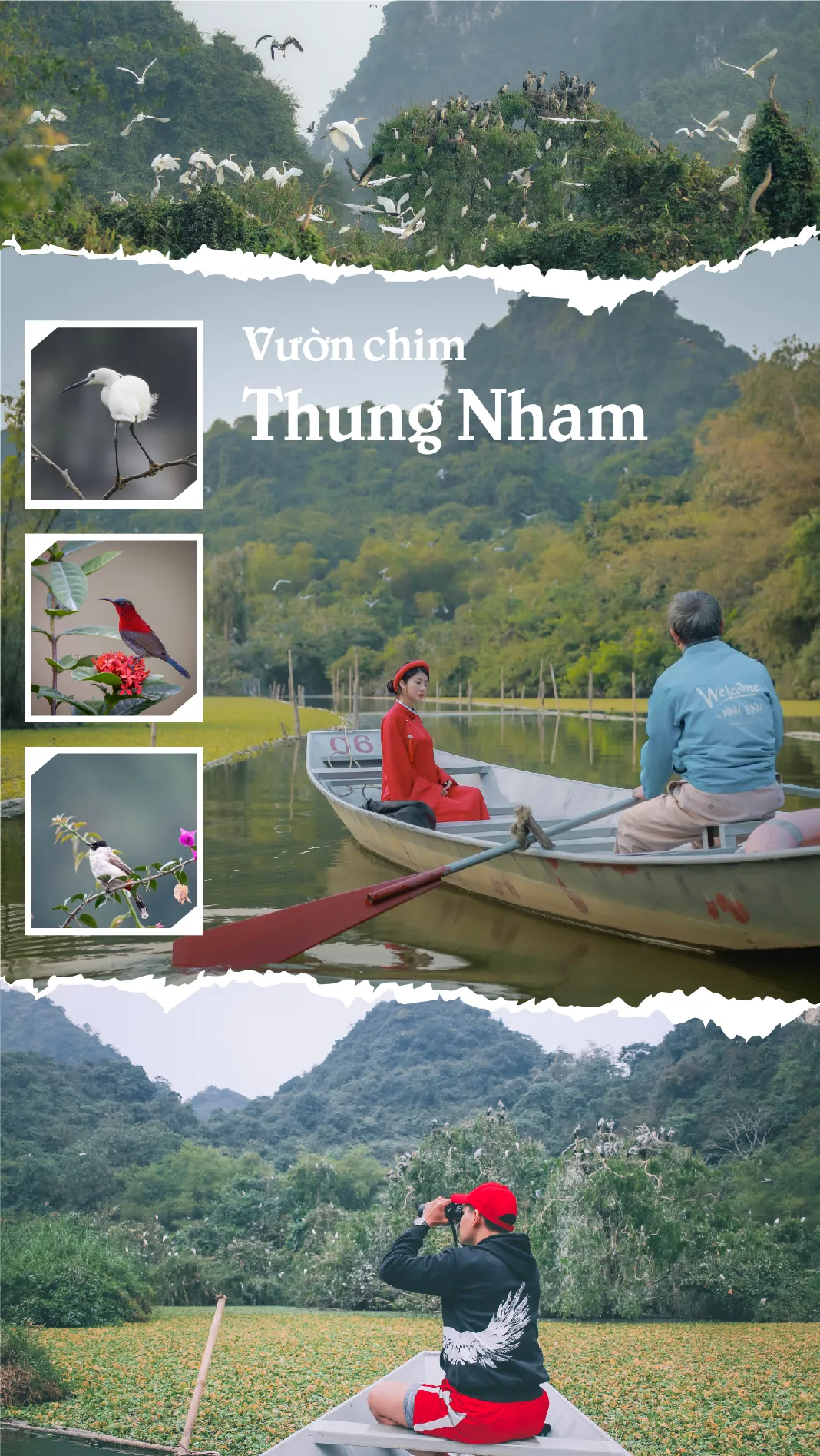 Vườn chim Thung Nham